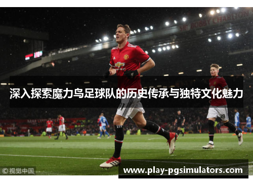 深入探索魔力鸟足球队的历史传承与独特文化魅力