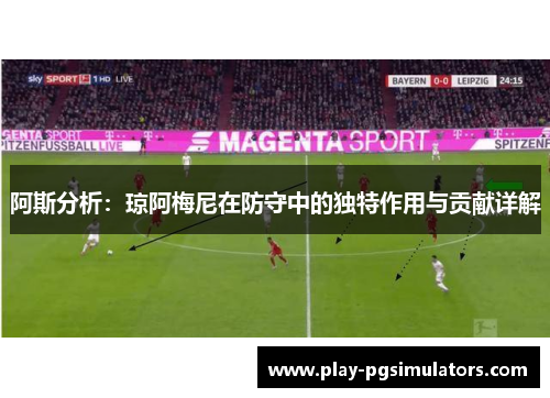 阿斯分析：琼阿梅尼在防守中的独特作用与贡献详解