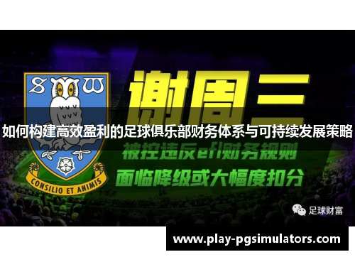 如何构建高效盈利的足球俱乐部财务体系与可持续发展策略